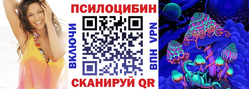 omg tor Казань Галлюциногенные грибы Psilocybe
